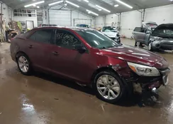 1G11F5SL2FF124261: 44268587