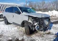 5XYP3DHCXNG302537: 44268650