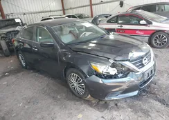 1N4AL3AP0GN309706: 44268055