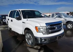 1FTEW1CM8EFA70892: 44269344