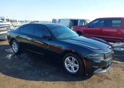 2C3CDXBGXNH196704: 44268855