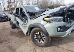 3TMDZ5BN2PM157744: 44268989