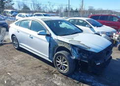 5NPE24AF0KH743659: 44270501