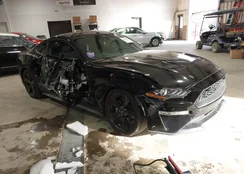 1FA6P8TH4M5116872: 44271111