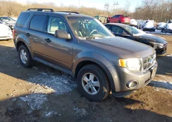 1FMCU9DG1CKB47882: 44271302