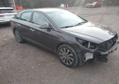 5NPE34AF7FH181259: 44272305