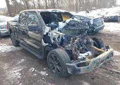 1FTFW1E82MFB20124: 44272347