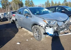 JTMRFREV7JD252286: 44272517