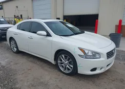 1N4AA5AP9AC822232: 44272677