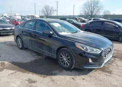 5NPE24AF7JH605051: 44273096