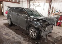 2GNALBEKXG1160300: 44274329