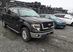 1FTFW1CT7BFB28711: 44274420