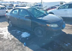 2T1BU4EE1AC466634: 44275568