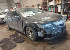 19UUB1F30GA003439: 44274873