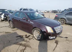 1G6DP5EV1A0141663: 44277217