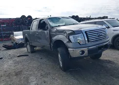 1FTEW1CM9CKD41849: 44278335