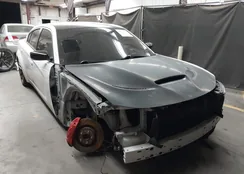 2C3CDXGJ0MH503977: 44277984