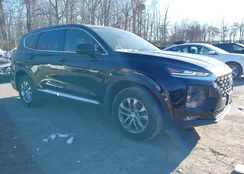 5NMS3CAD9LH304077: 44279225