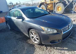 1N4AA5AP7DC828275: 44279241