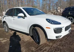 WP1AA2A26JKA00859: 44279529