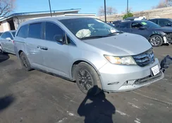 5FNRL5H2XEB095306: 44278796