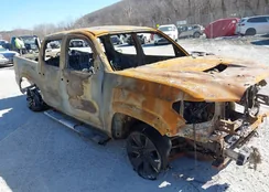 3TYCZ5AN1LT006955: 44280070