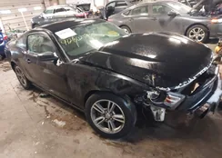 1ZVBP8AN3A5126920: 44280212