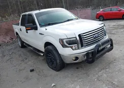 1FTFW1CF9CFA53053: 44279674