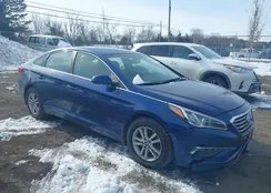 5NPE24AF2FH216650: 44281071