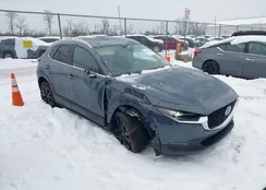 3MVDMBCL7NM456037: 44281149