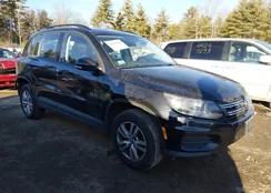 WVGBV7AX2GW066423: 44281160