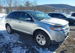 2FMDK4JC9BBB36703: 44281383