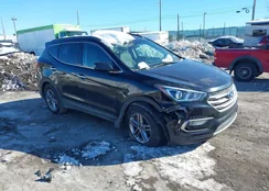 5NMZUDLB1HH039823: 44281508