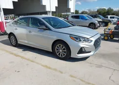 5NPE24AF3KH736589: 44282485