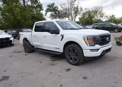 1FTFW1ED7PFD08977: 44281848