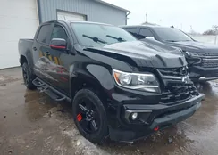 1GCGTCEN2M1132334: 44281908