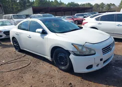 1N4AA5AP4BC823709: 44281994