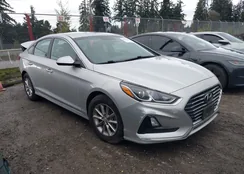 5NPE24AF4JH599919: 44283146