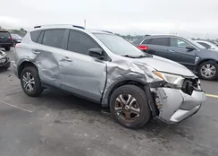 JTMZFREV8JJ166986: 44283253