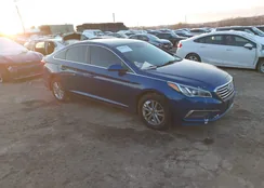 5NPE24AF3GH325829: 44283341