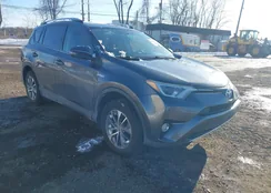 JTMRJREVXGD034365: 44282700