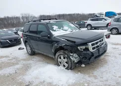 1FMCU03759KA81181: 44284173