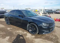 2C3CDXBG8GH267014: 44284315