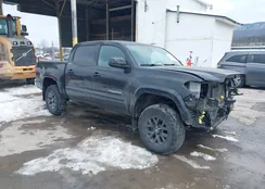 3TYCZ5AN8NT092705: 44283853