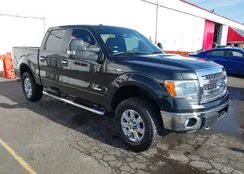 1FTFW1ET6DKF25804: 44283920