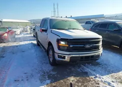 1FTEW3LP9RKF50961: 44285125