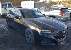 19UUB5F57MA010389: 44285371