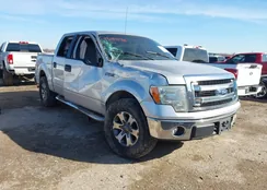 1FTFW1CF7EKD51496: 44284798