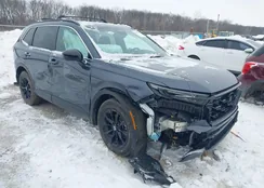 5J6RS6H55RL000117: 44284952