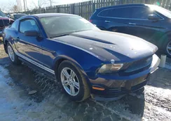 1ZVBP8AMXC5246997: 44286843